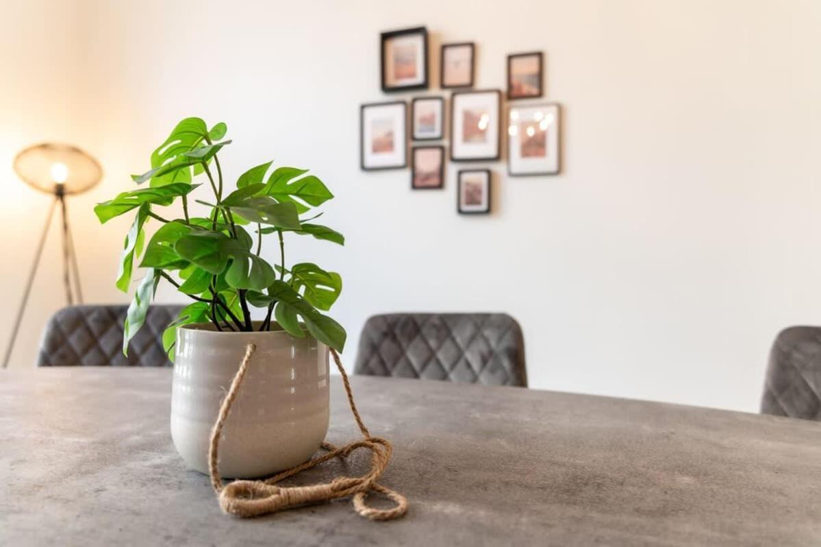 Beautiful Renovated Apartment In An Authentic Building أوستيند المظهر الخارجي الصورة